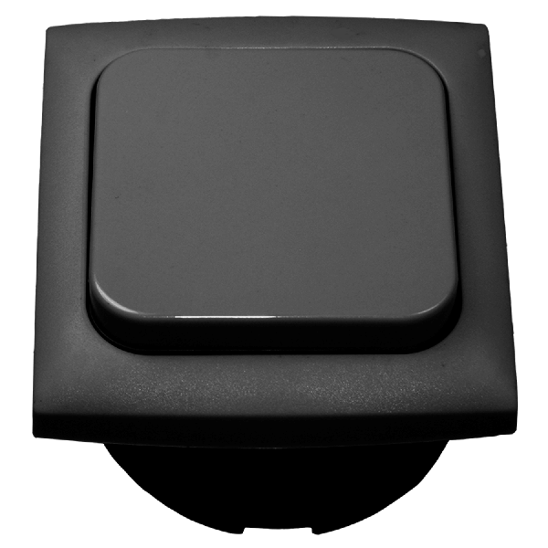 C-Line light switch with Opal faceplate anthracite - packed