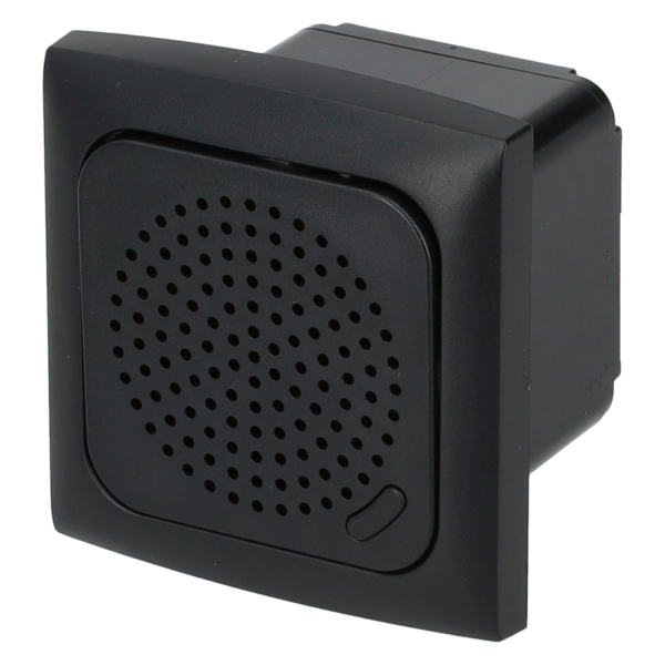 C-Line speaker with cover frame